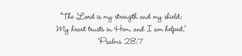 Scripture - My Experiments With Homoeopathic Combinations [book], transparent png #1028612