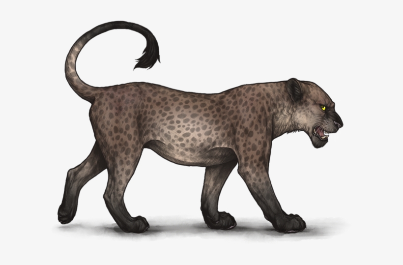 2h5cif8 - Portable Network Graphics, transparent png #1028709