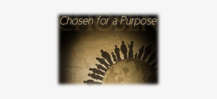 Sister Anne Walsh Op - Acts 9 8, transparent png #1029298