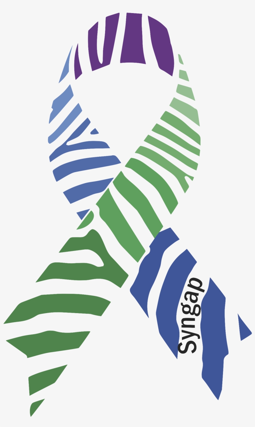 Ribbon Syngap1 - Zebra Ribbon Vector, transparent png #1030365