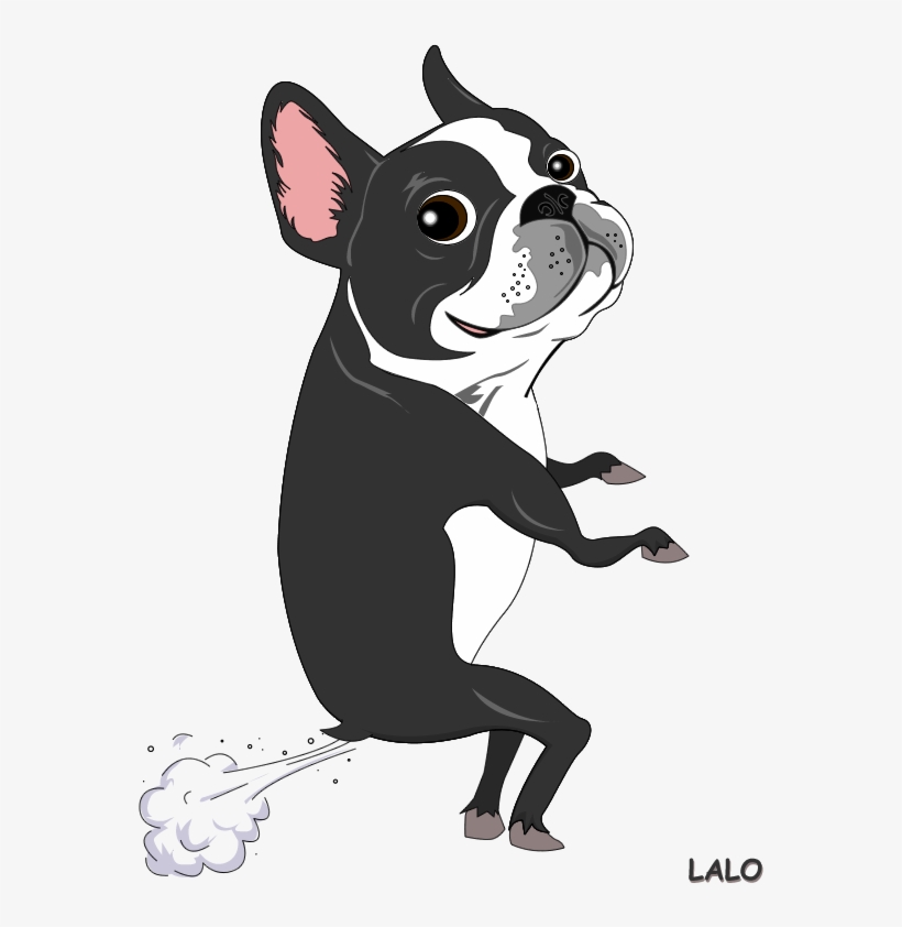 The Dog That Farts Everyday After - Boston Terrier Drawing Easy, transparent png #1030796
