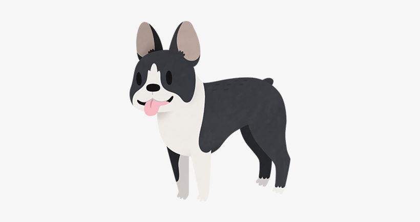 Bulldog Drawing Boston Terrier - Boston Terrier, transparent png #1030818