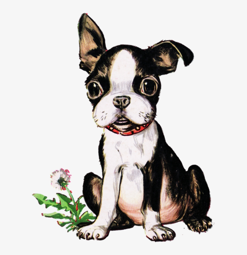 Vintage Boston Terrier Puppy - Playful Little Dog, transparent png #1031003