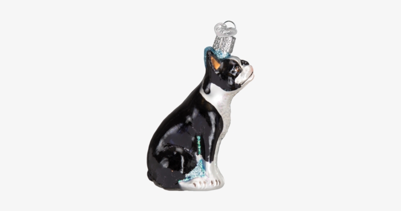 Boston Terrier Ornament - Photography Camera Glass Blown Hanging Christmas Ornament, transparent png #1031110