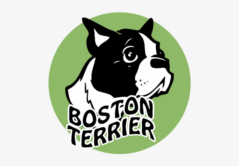 English White Terrier, transparent png #1031193