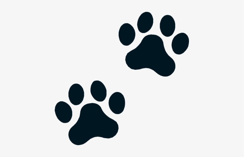 Welcome To Boston Terrier Memorials - Paw Prints, transparent png #1031355