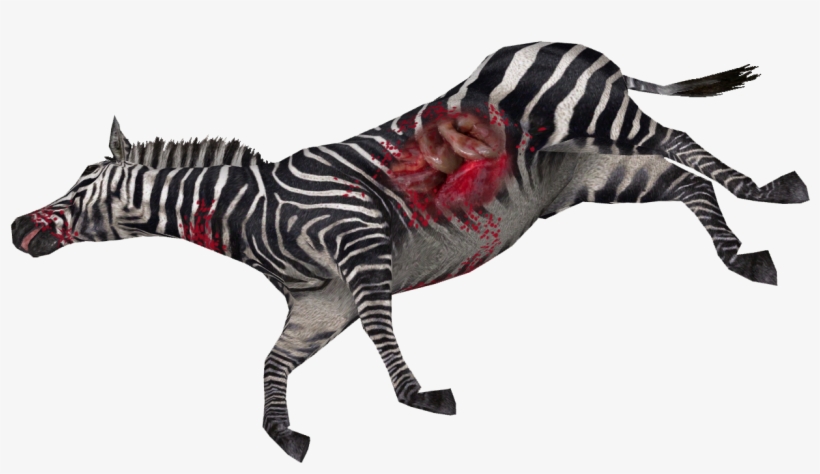 Dead Zebra - Quagga, transparent png #1031442