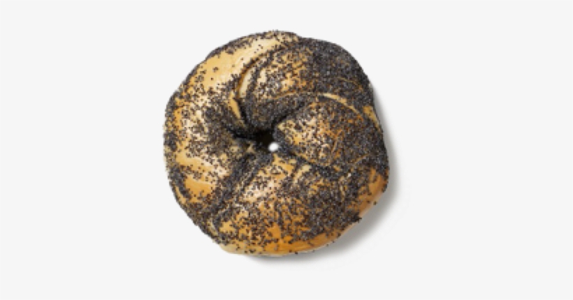 Poppyseed - Poppy Seed Bagel, transparent png #1031460