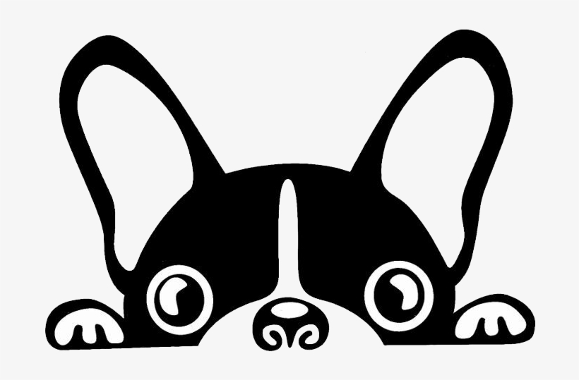 Boston Terrier French Bulldog Brazilian Terrier Puppy - Perro Bulldog Frances Dibujo, transparent png #1031506