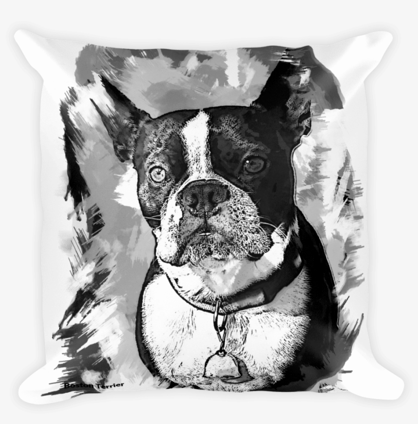 Boston Terrier Artistic Photo Art Decorative Pillow - Art, transparent png #1031547