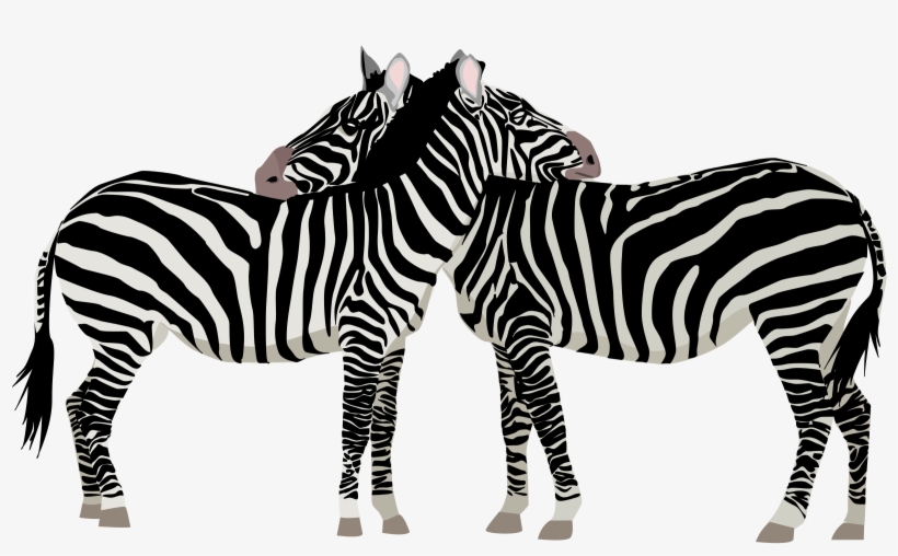 Clip Art Black And White Download Zebras Big Image - Zebras Clipart, transparent png #1031615