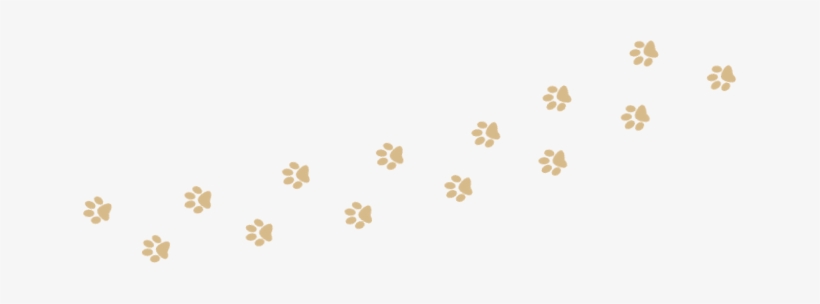 Paw Print Trail - Dog Paw Trail Png, transparent png #1031845