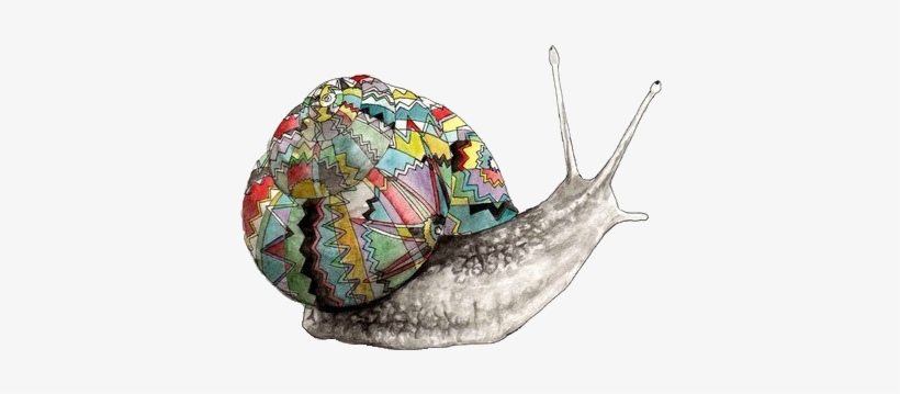 Snail With A Colorful Shell - Illustration Animals, transparent png #1031876