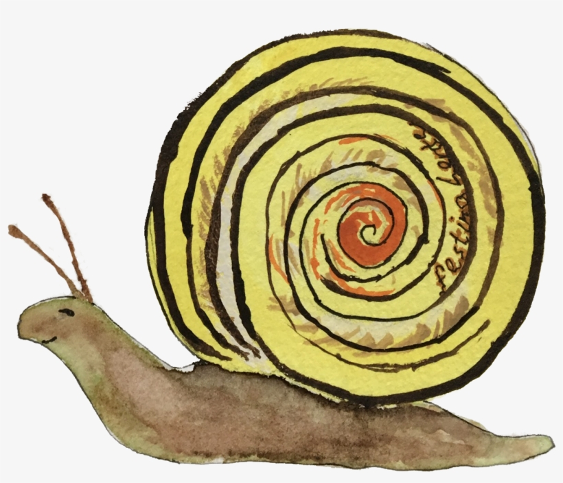 Nancy Johnson Hillengas '80 - Artist, transparent png #1031992