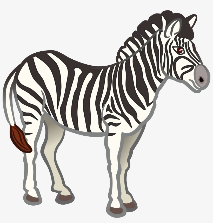 , , - Zebra Clip Art Png, transparent png #1031994