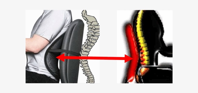 The Position Adopted By A Person Will Affect The Musculoskeletal - Chair With Lumbar Back Support, transparent png #1031997