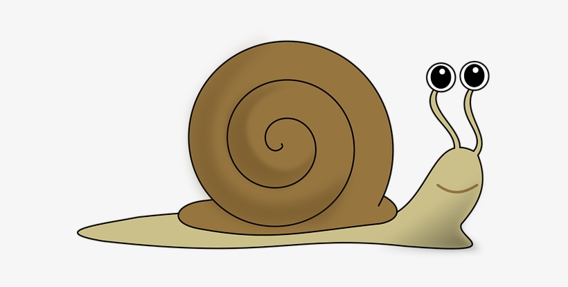 Snail Eyes Funny Animal Snail Snail Snail - French Snail Clip Art, transparent png #1032042