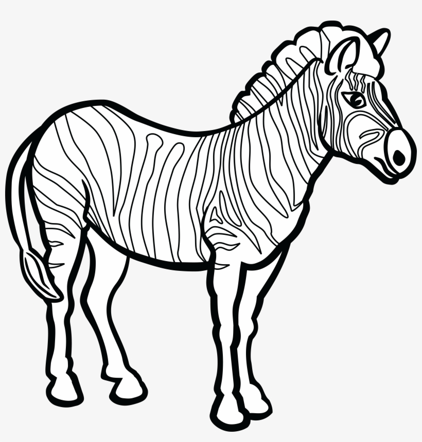 , , - Zebra Line Art, transparent png #1032110