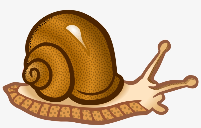 This Free Icons Png Design Of Snail, transparent png #1032144