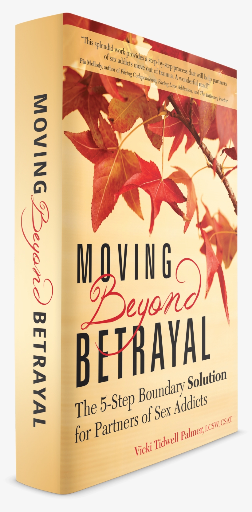 Book Cover Large - Moving Beyond Betrayal: The 5-step Boundary Solution, transparent png #1032163