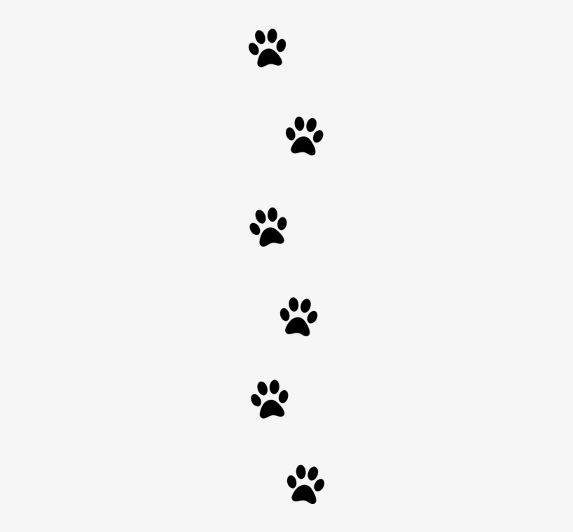 Paw Print Free Pictures On Pixabay Paw Print Clipart - Wall Sticker Paw Prints, transparent png #1032380