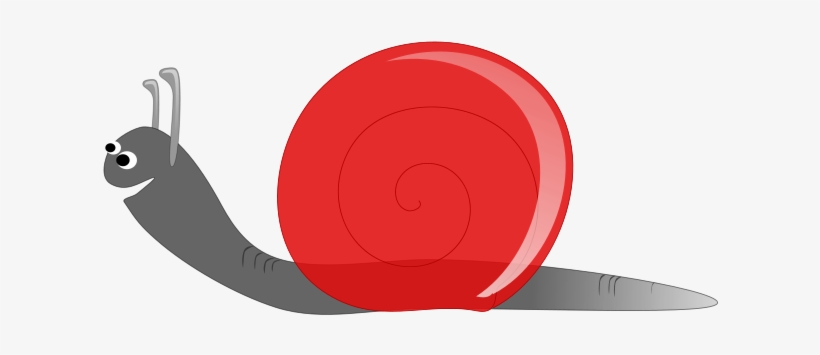 How To Set Use Caracol Snail Clipart, transparent png #1032640