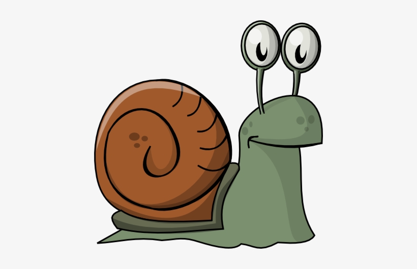 Snail - Snail Clip Art, transparent png #1032687