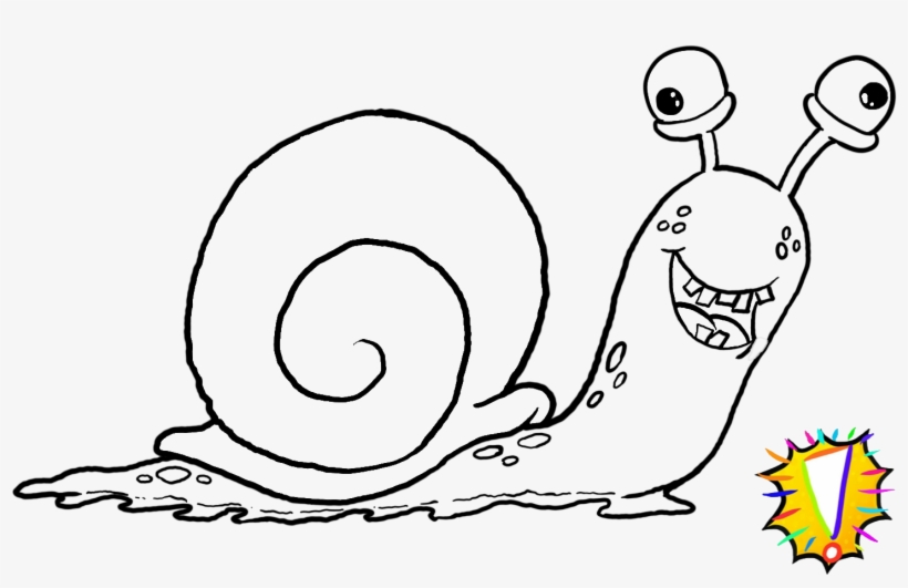 Snail - Mrflacko, transparent png #1032786