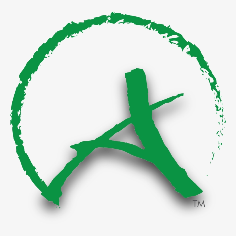 Arrowheadintl Logofinal 2symb Sm - Jpeg, transparent png #1033356