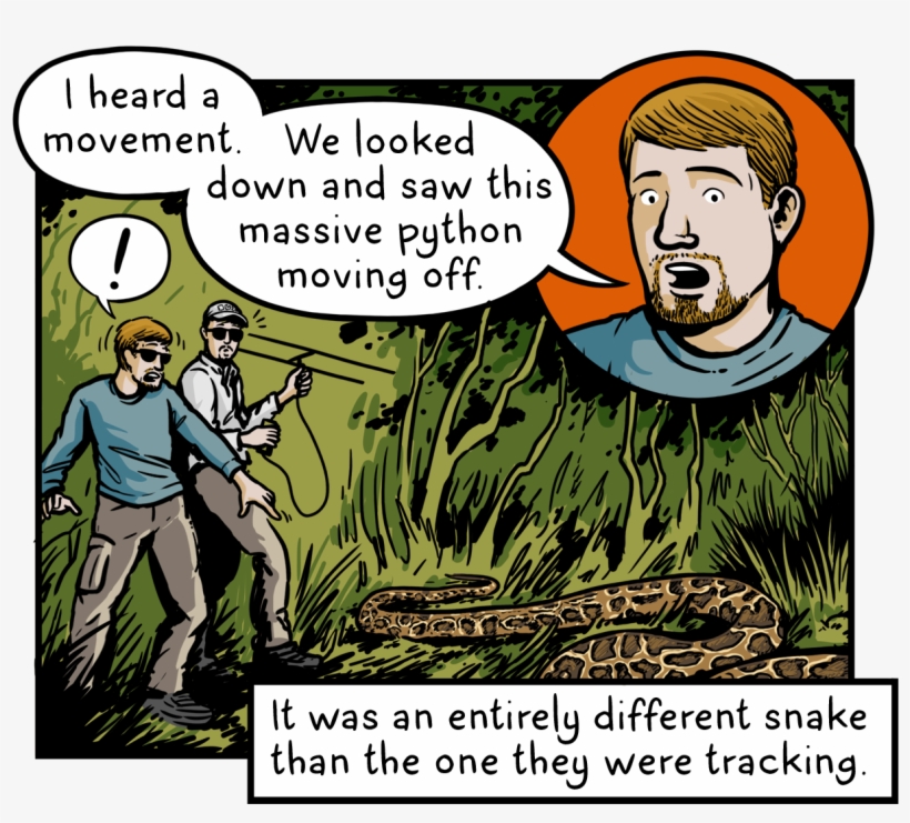 Com/the Snakes That Ate Florida E7a52ea72aab - Cartoon, transparent png #1034401