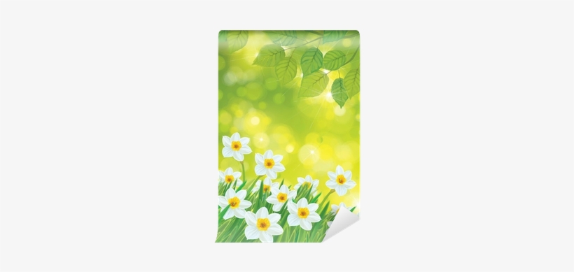 Vector Daffodil Flowers On Spring Background - Printing And Writing Paper, transparent png #1034521