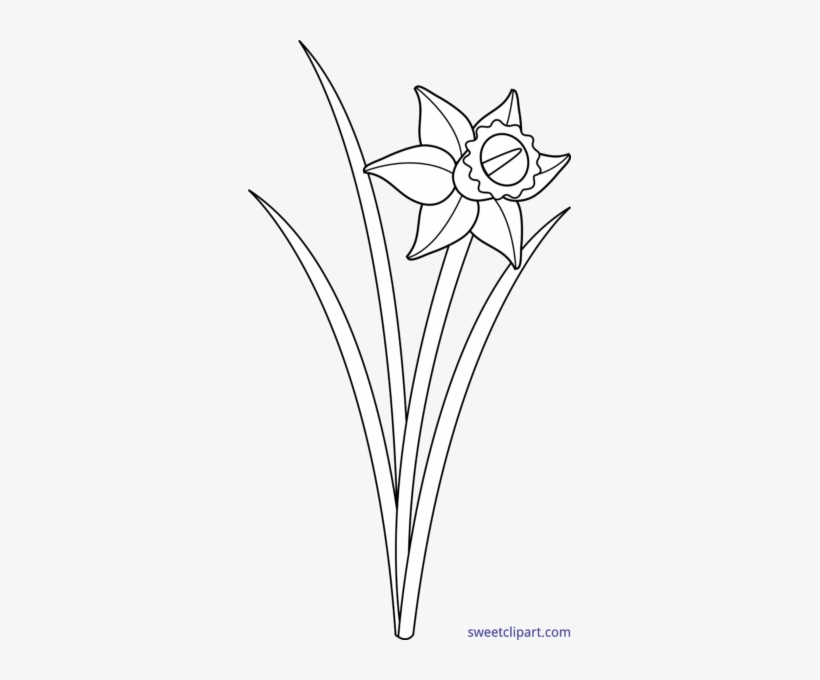 Sweet Clip Art - Black And White Daffodil, transparent png #1034640