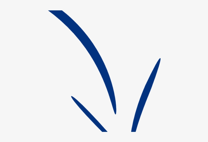 Arrow Clipart Fancy, transparent png #1034791