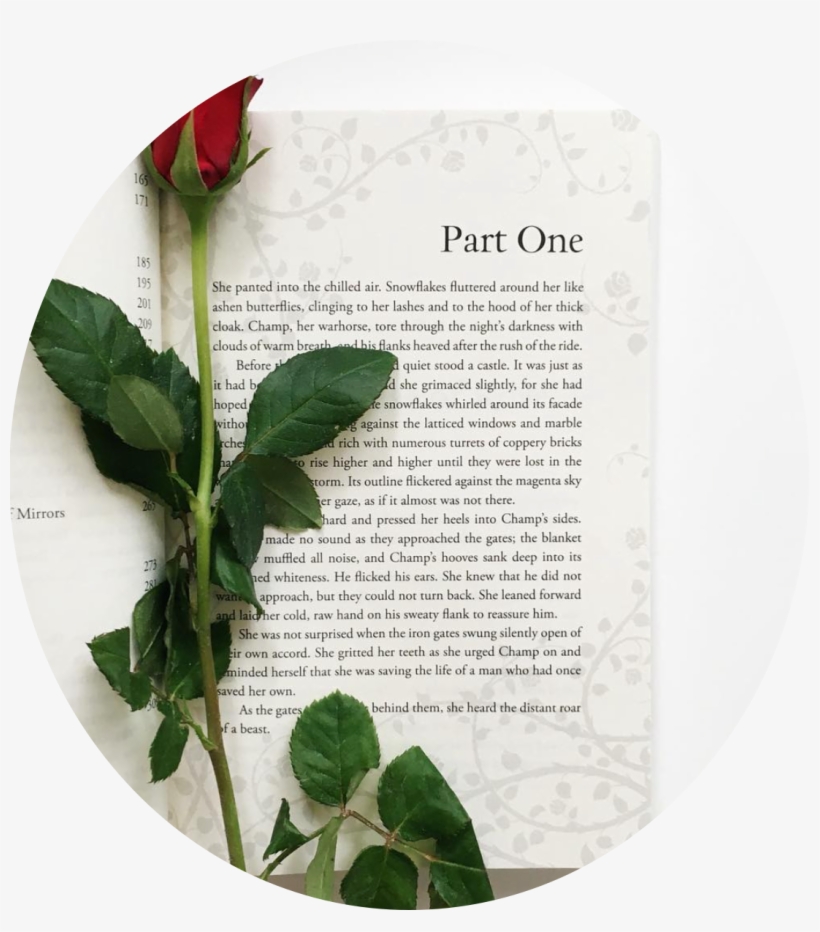 Newsletter, transparent png #1034896