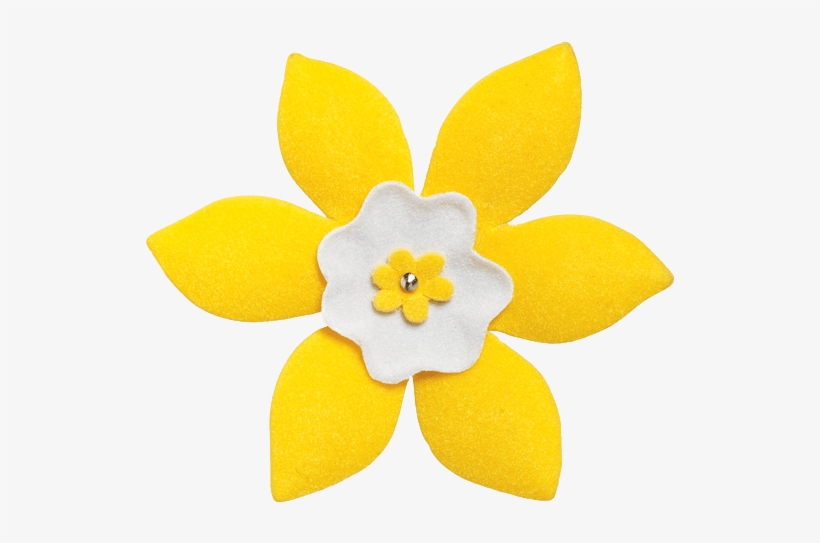 This Month - Canadian Cancer Society Daffodil, transparent png #1034919
