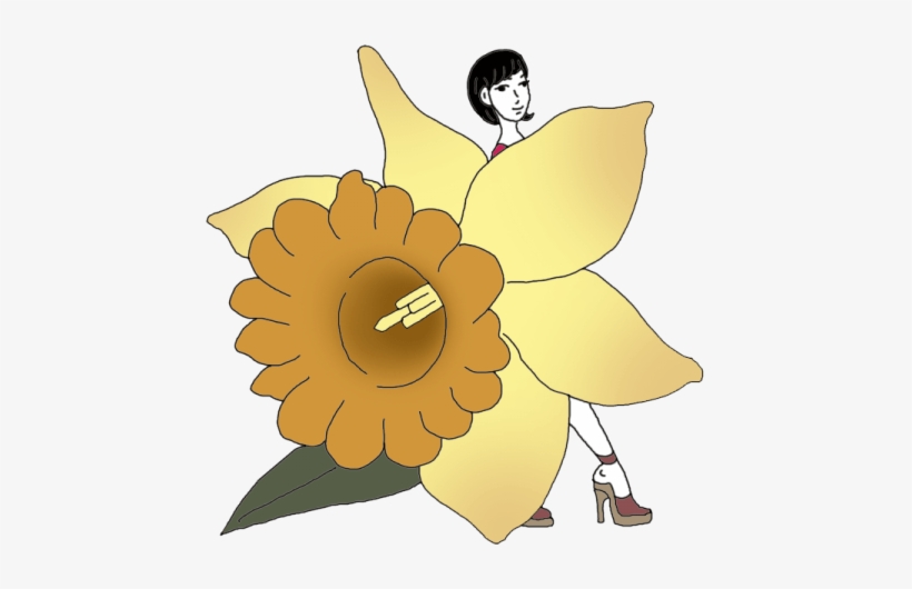 Daffodil, transparent png #1035007