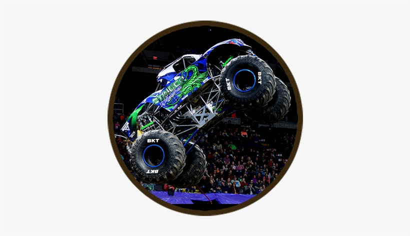 The All Star Monster Truck Tour Will Showcase A Head - Stinger Unleashed Monster Truck, transparent png #1035168