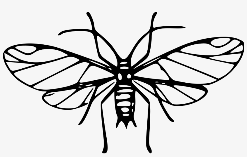 How To Set Use Mosquito Clipart, transparent png #1035185