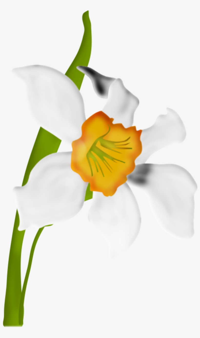 On Цветы - Portable Network Graphics, transparent png #1035661