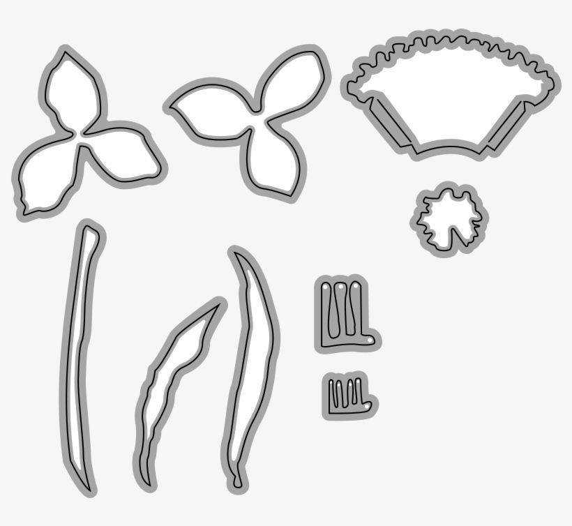 Garden Notes - Daffodil/ Narcissus - Scrapbooking, transparent png #1035919