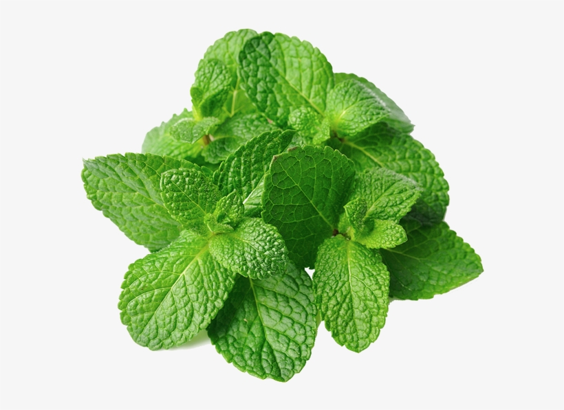 Mint Leaves, transparent png #1035982