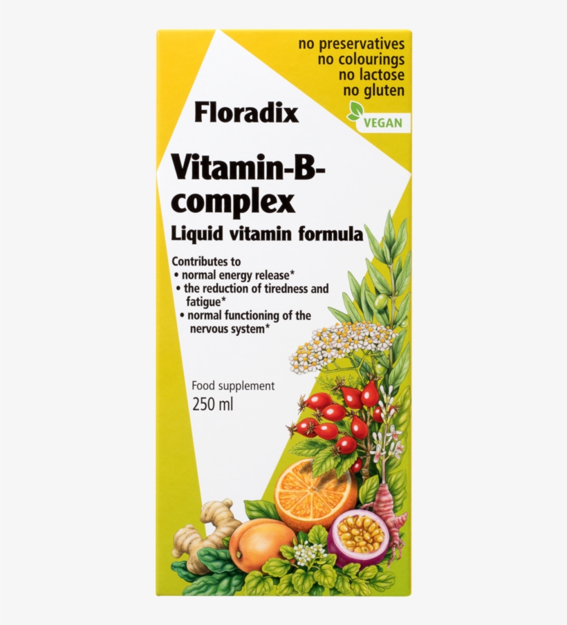 Salus Haus Floradix Vitamin B Complex, Liquid Vitamin - B Complex Vitamins Liquid, transparent png #1036518
