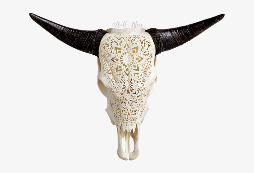 Carved Cow Skull // Xl Horns - Xl Horns, transparent png #1036705