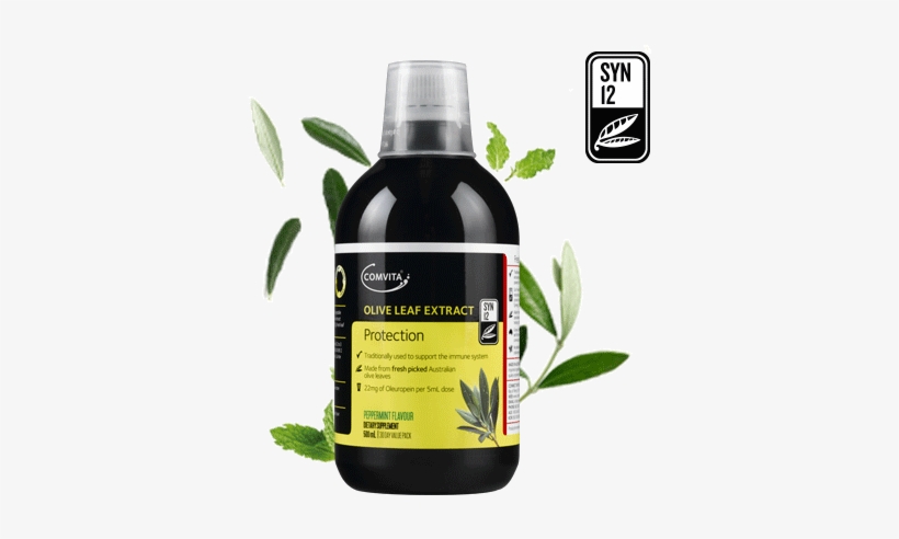 Made From Fresh Olive Leaves, transparent png #1037107