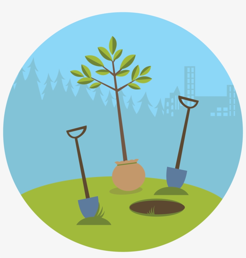 How To Plant A Tree - Plant A Tree Cartoon, transparent png #1037140