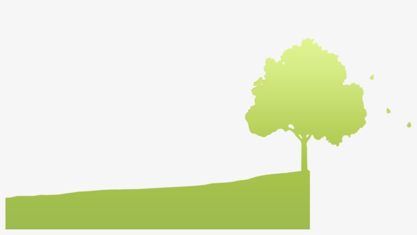 Planting & Tree Care - Boom, transparent png #1037584