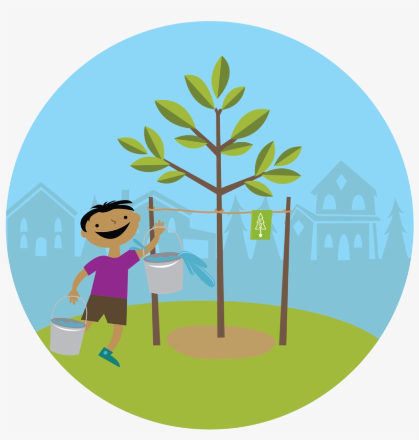Congratulations On Planting A New Tree - Plant A Tree Png, transparent png #1037604