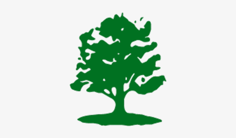 Davey Tree Expert Co - Davey Tree Logo, transparent png #1037668