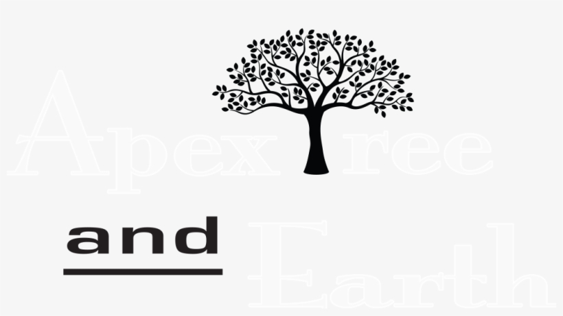 Follow - Genealogy Basics In 30 Minutes By Shannon Combs-bennett, transparent png #1038023