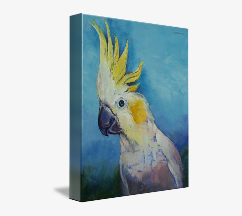 Transparent Stock By Michael Creese Pinterest Buy Prints - Cockatoo Art, transparent png #1038063